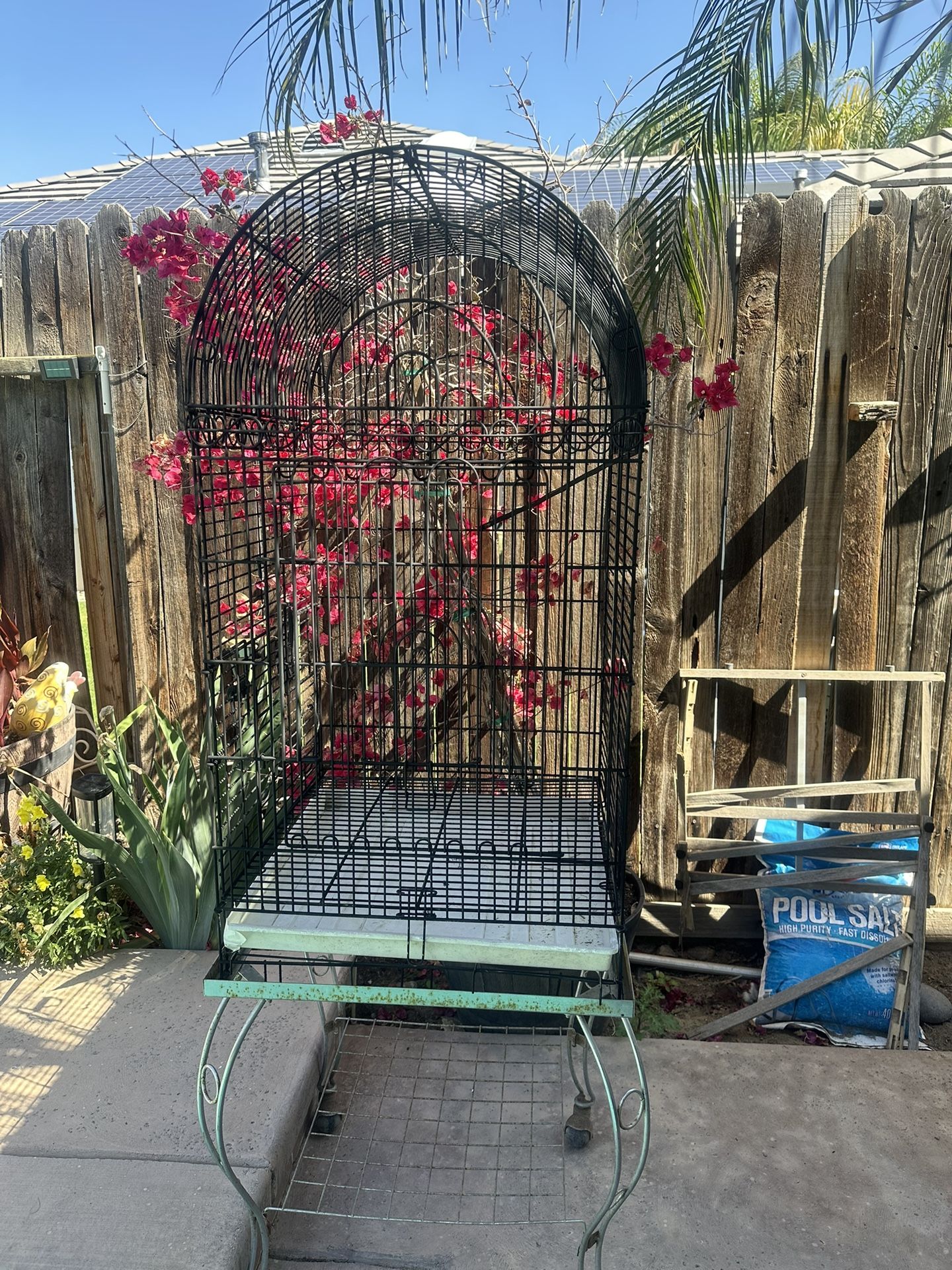 Big bird/ cocktail cage 