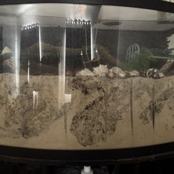 46 Gallon Bow Front Tank And Stand