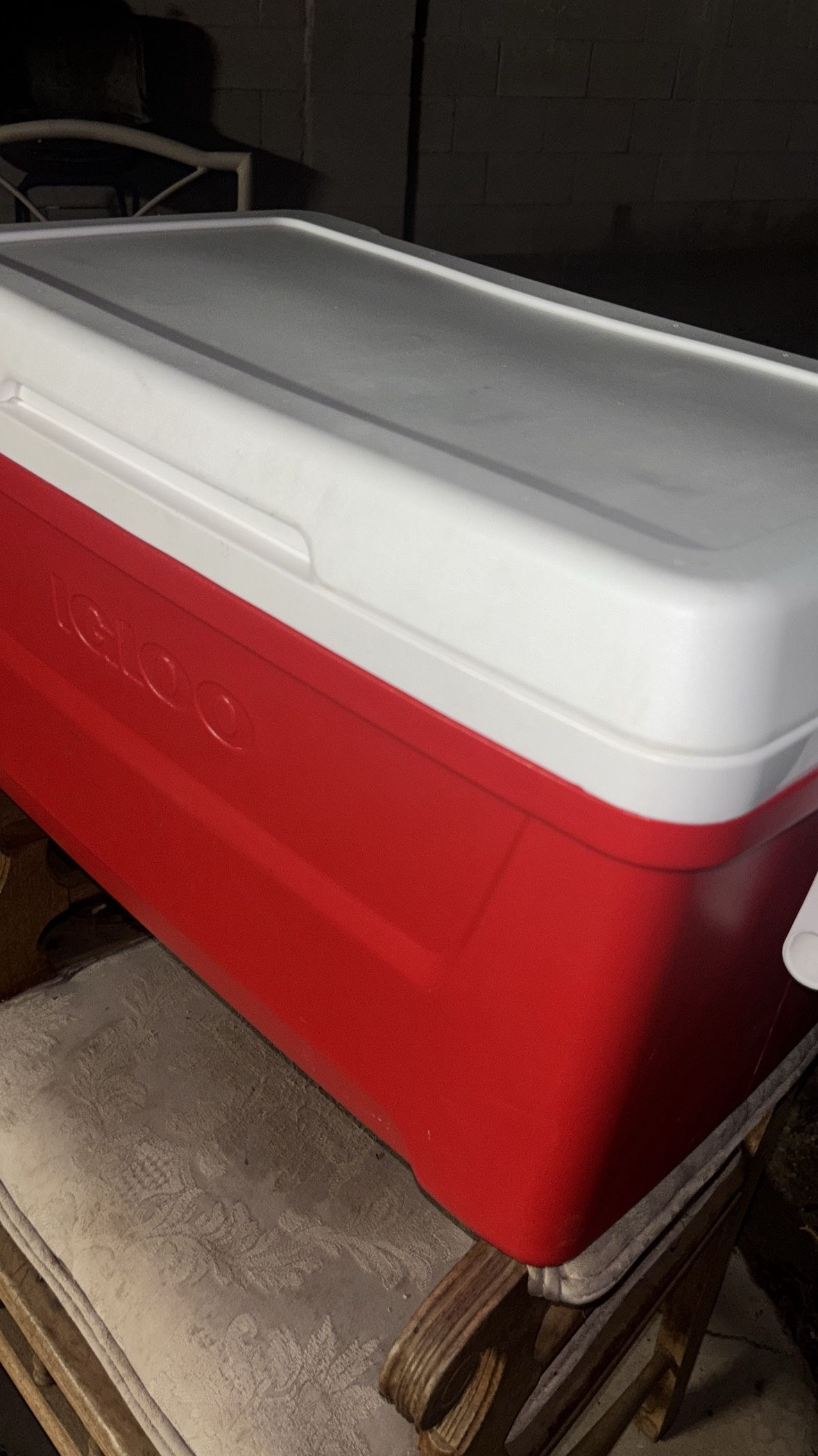Igloo Ice Chest/cooler