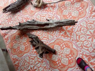 Natural Driftwood For Sale
