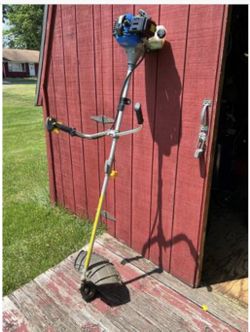 Grass Edger (gas)