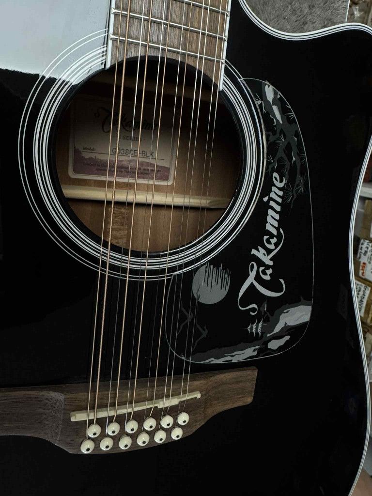 Customized Pickguard TAKAMINE Yamaha Fender 
