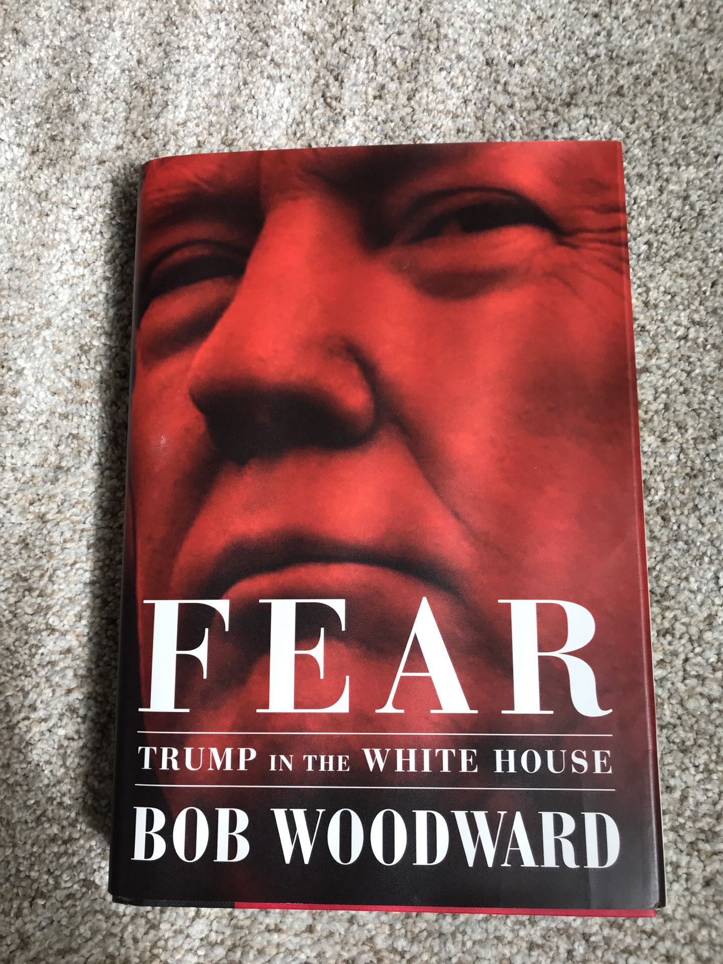 Fear( Trump in the White House)