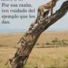 Ilmer