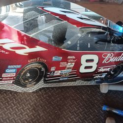 Budweiser Mirror