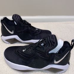 Nike Lebron Hyperdunk Soldier XIV TB Size 14.5