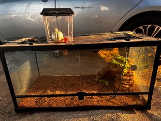 Reptile terrarium