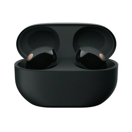SONY WF-1000XM5 Truly Wireless Noise Canceling Earbuds (Black)