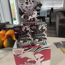 Pokémon scarlet and violet black bolt and white flare