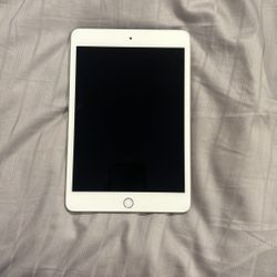 Apple Ipad Mini 5 256gb