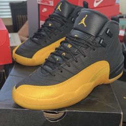 Jordan 12s