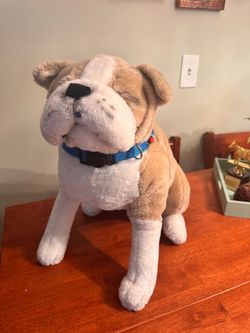 Dog trigger Object - Paranormal equipment