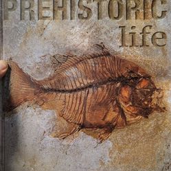 Prehistoric Life DK Book