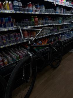 Throne bike 29