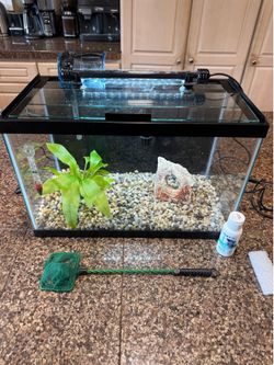 5.5 gallon fish tank aquarium