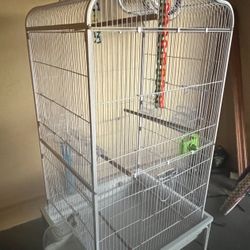 Bird Cage