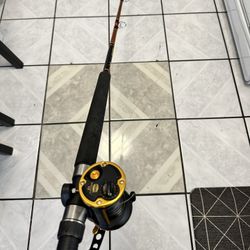 Fishing Rod/reel