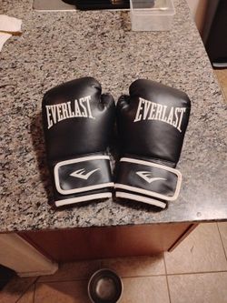 Everlast Boxing Gloves