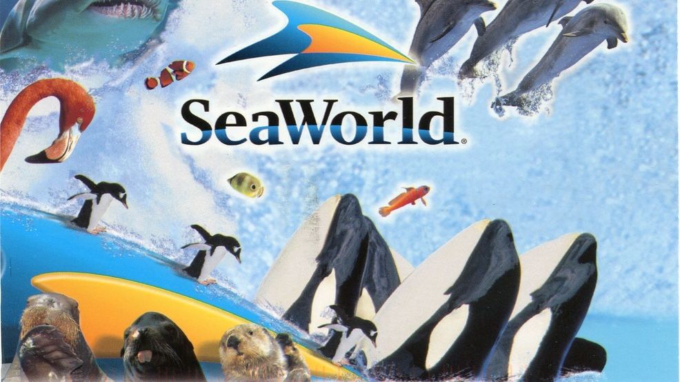 🎢 SEAWORLD 🎟️x11 🦭SEAWORLD 🪸🦦SAN DIEGO 🪼
