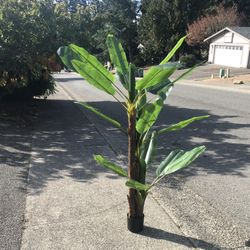 Artificial Tropical Palm Coconut Banana Tree Plant indoor House Home Living Room Bedroom Office AirBnB Staging Rental Den 6” Tall 