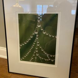 Paul Salazar Water Droplets Artwork