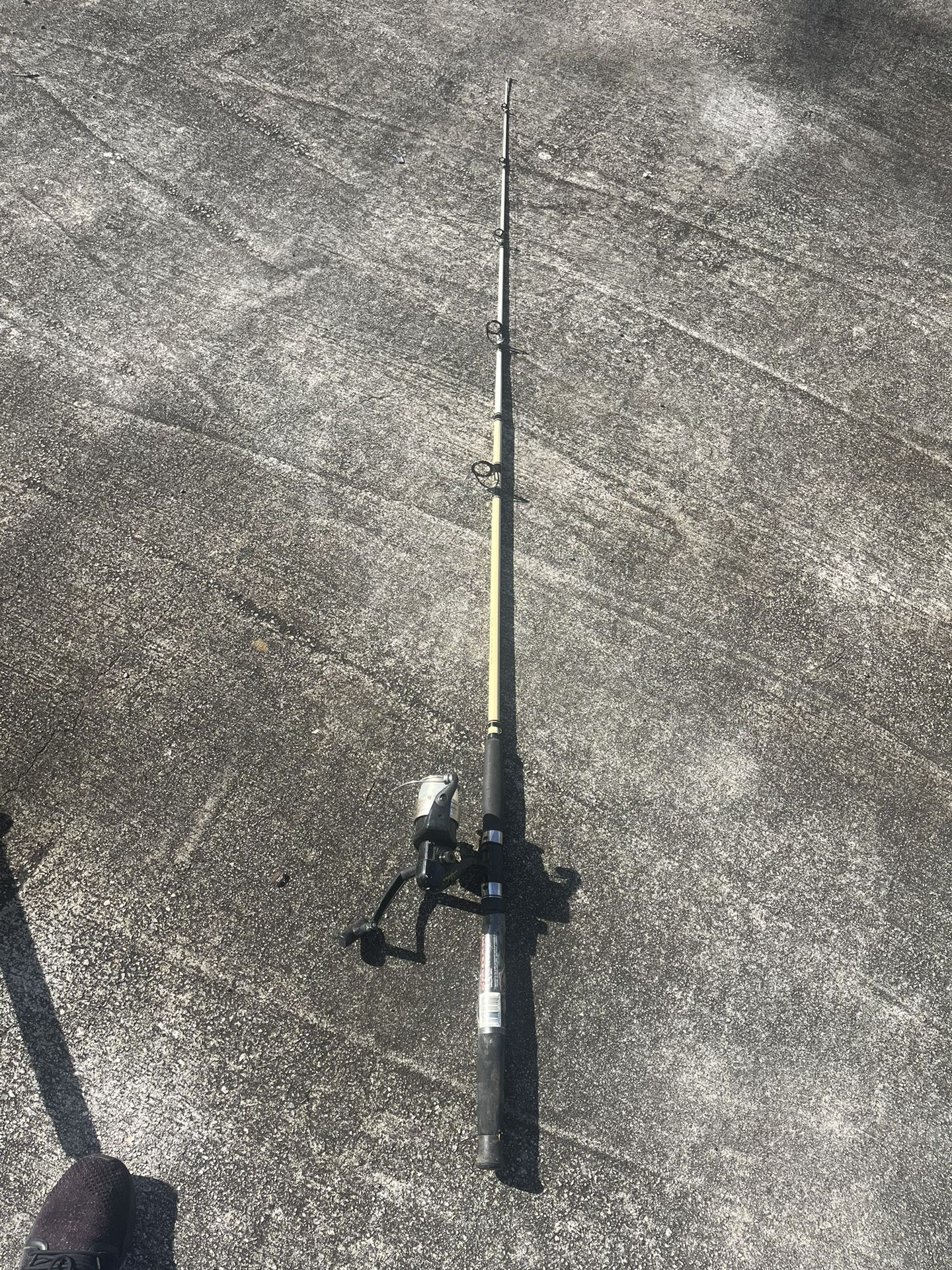 Berkley Big Game Spinning Fishing Rod