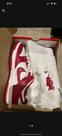 Nike Dunks 10.5 New 90