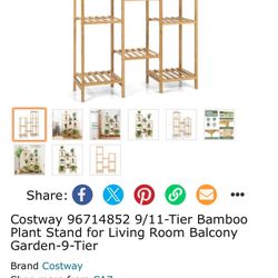 Bamboo Shelf 