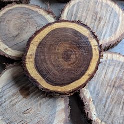 Small Mesquite Wood Rounds