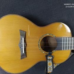 Berkeley 26" Ukulele w/ Aquila String .Spenish Classical style Strip Nylon bag