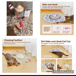 New: interactive Pet toys
