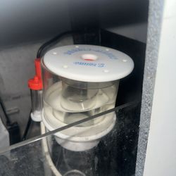Protein Skimmer