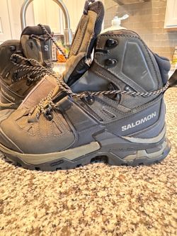 Salmon Quest 4 Tactical Boots