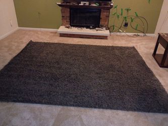 Shag rug