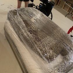 Free Couch Must Be Picked Ip By Sunday Night