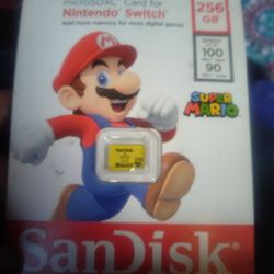 Nintendo Switch 256GB SDXC Card