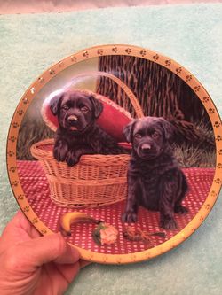 CUte dog plate
