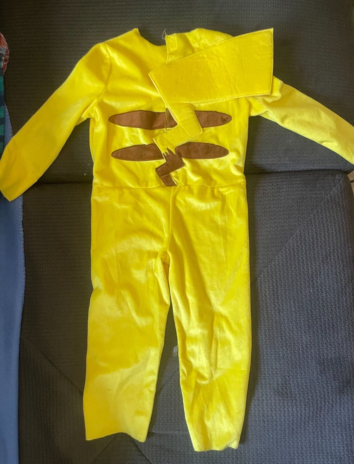 Pikachu Costume