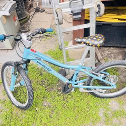 Nice Bike Specilized