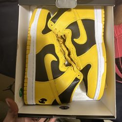 Wutang Nike Dunks (sz 8.5M)