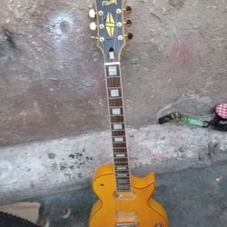 Gibson Les Paul   Rare