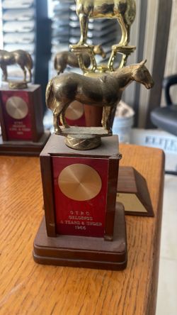 G. T. R. C. GELDINGS 4 YEARS & UNDER
