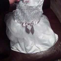 Girly Dress Size 5 PICK UP ONLY 