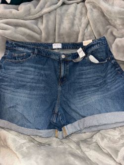 Brand New Lane Bryant + Torrid Denim