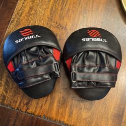 Sanabul Essential Boxing Mitts