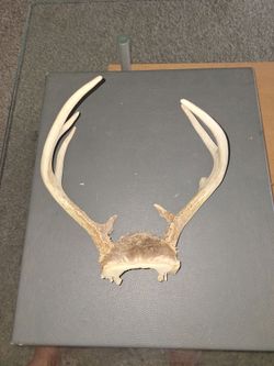 Antlers