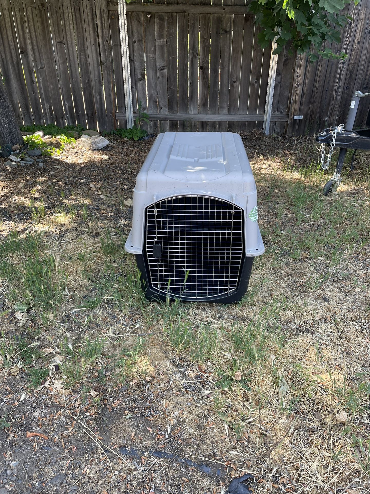 Dog Kennel