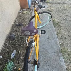 Beach Cruiser 