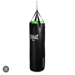 Ever Last Punching bag