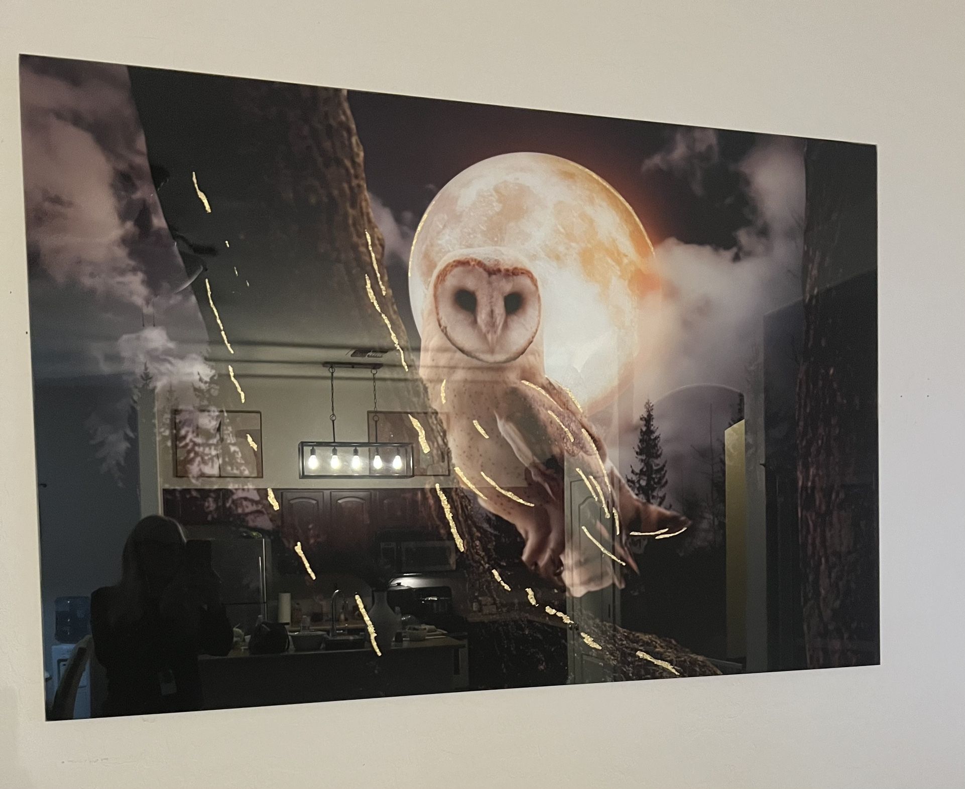 Beautiful Glass Owl Picture